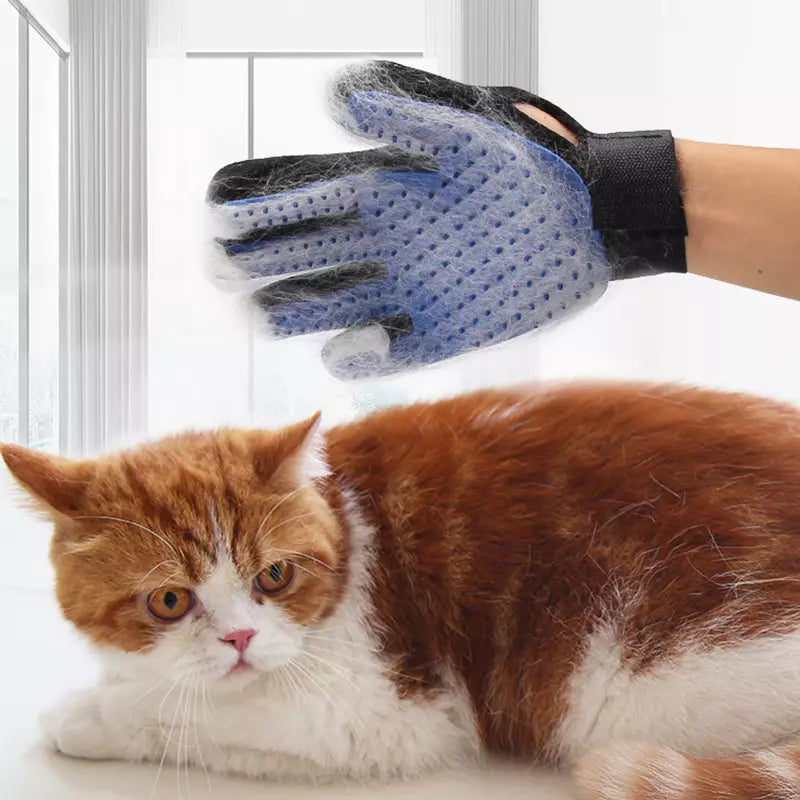 Gants des poils en Silicone pour animaux de compagnie chat chien brosse d'épilation
