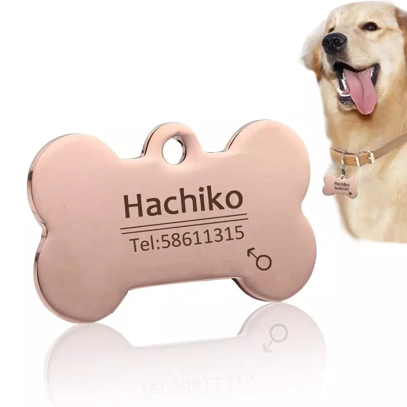 Médaille personnalisée en acier inoxydable pour chien-chat