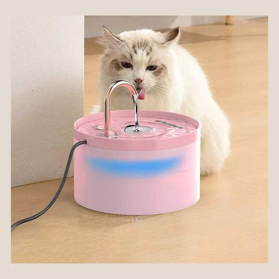 Fontaine à Eau automatique pour Chat