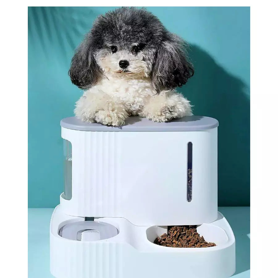 3L distributeur automatique de croquettes et eau pour chat et chien 2 en 1 détachable