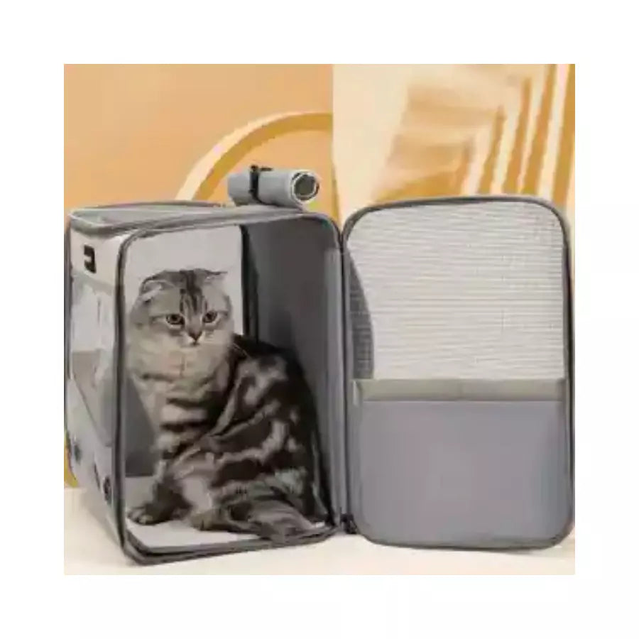 Sac à dos pour chat transparent