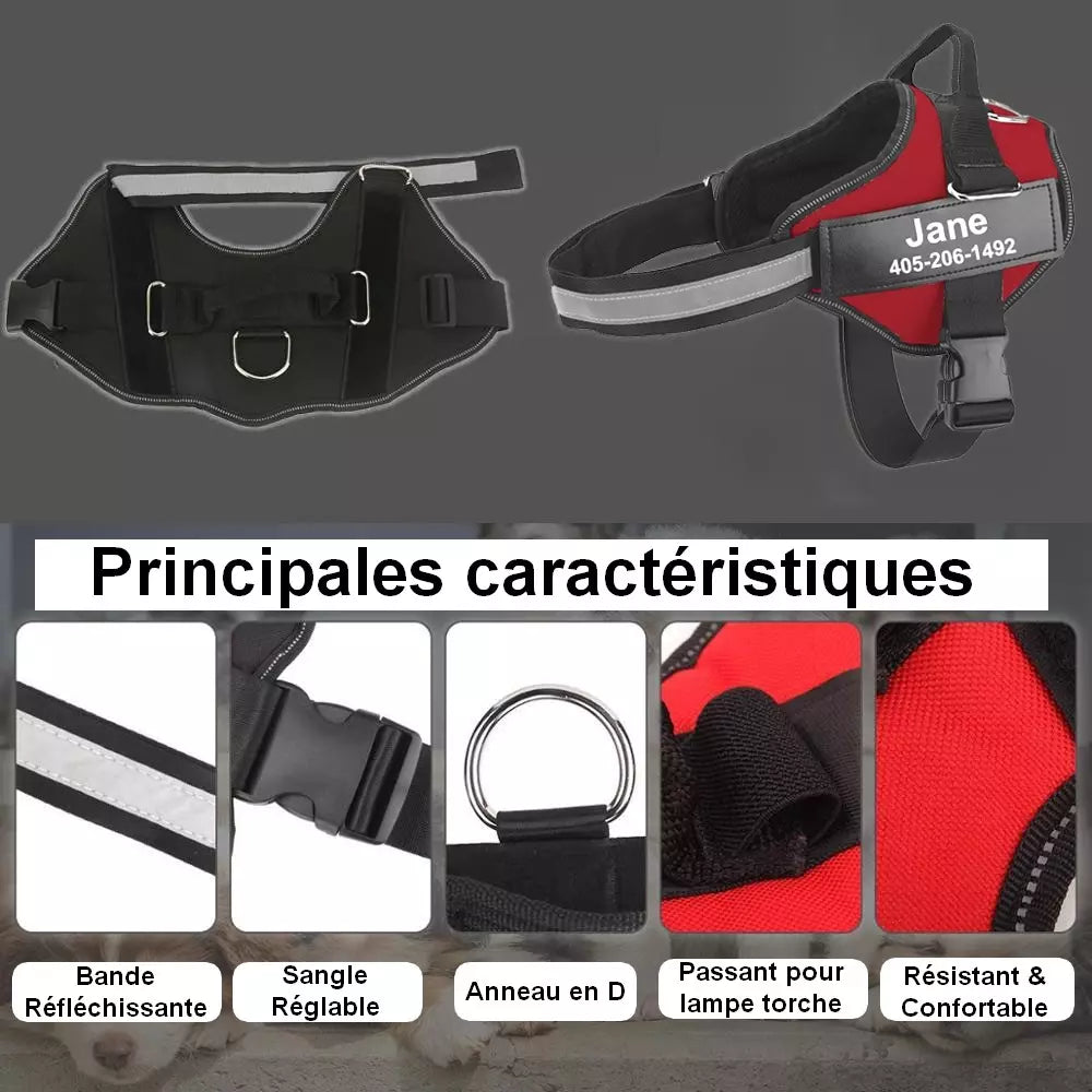 Harnais personnalisable pour chien