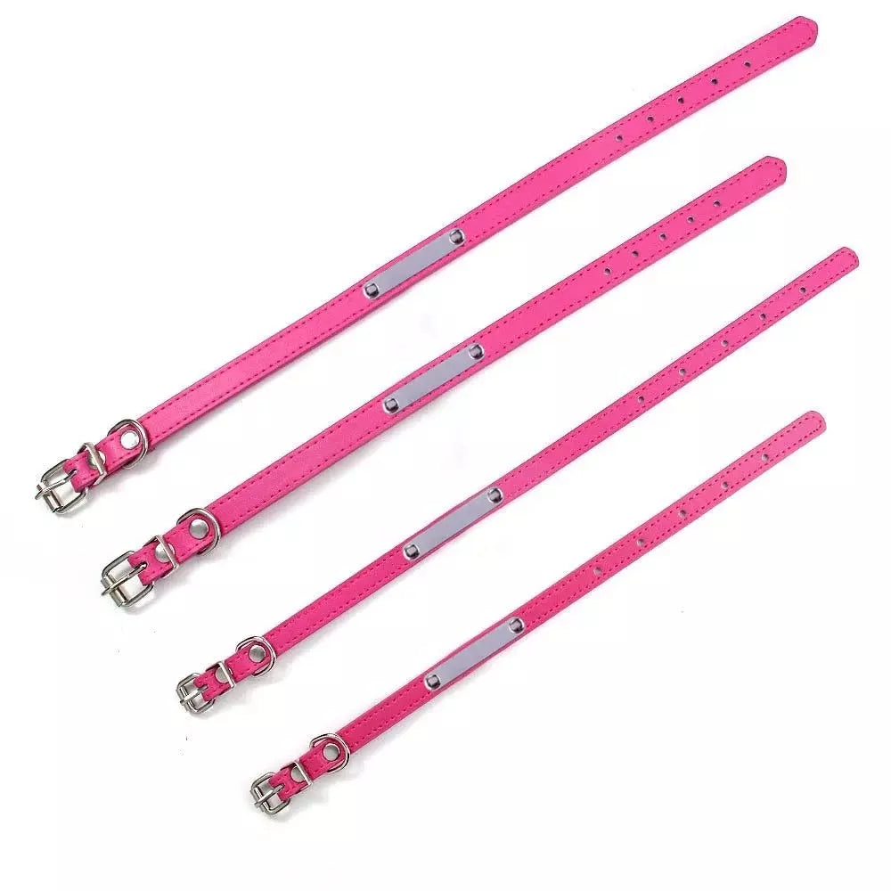 Collier cuir avec plaque d'identification