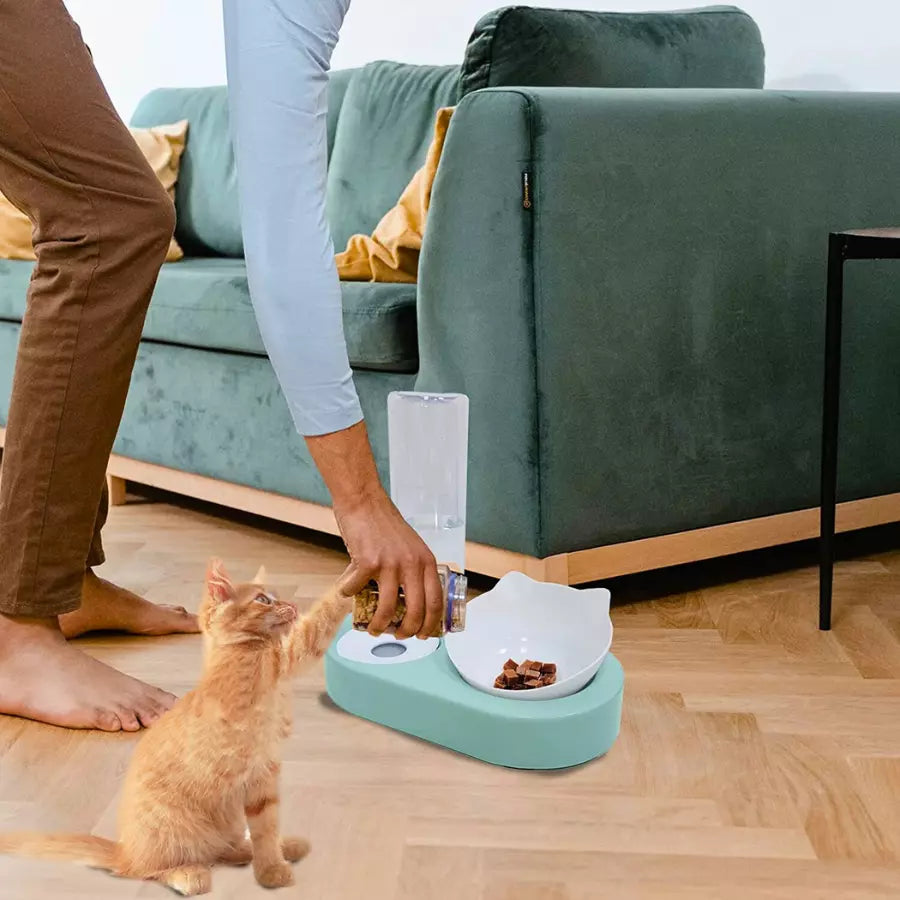 Gamelles surélevées doubles pour chats et chiens