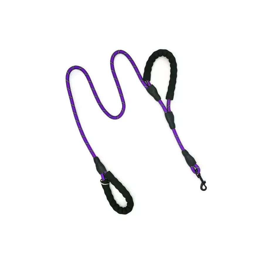 Laisse double poignée pour animaux