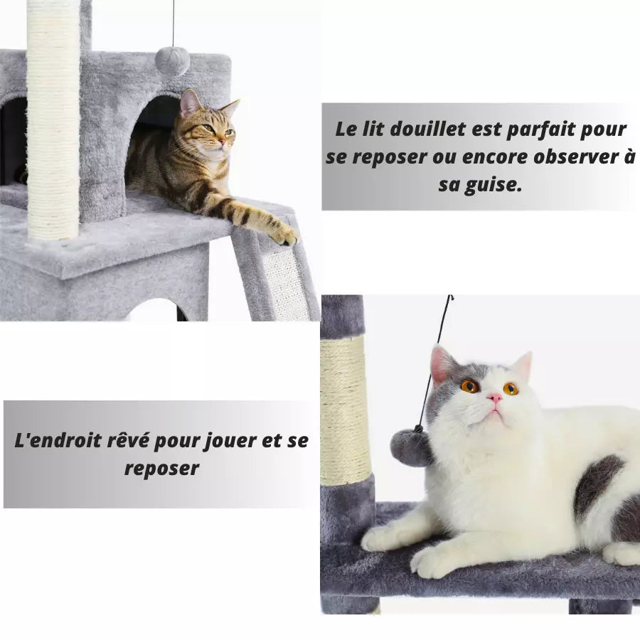 Arbre à chat de luxe d'intérieur avec plusieurs niveaux
