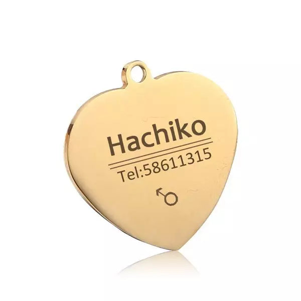 Médaille personnalisée en acier inoxydable pour chien-chat