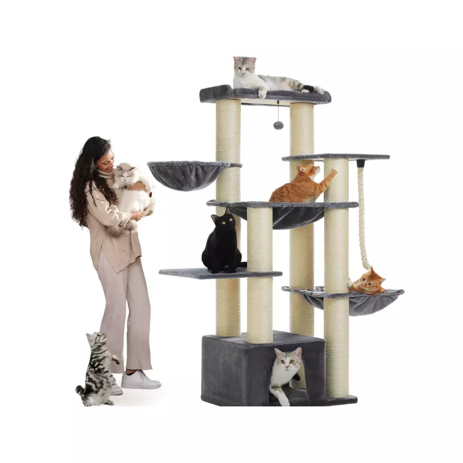 Arbre à Chat Grand taille