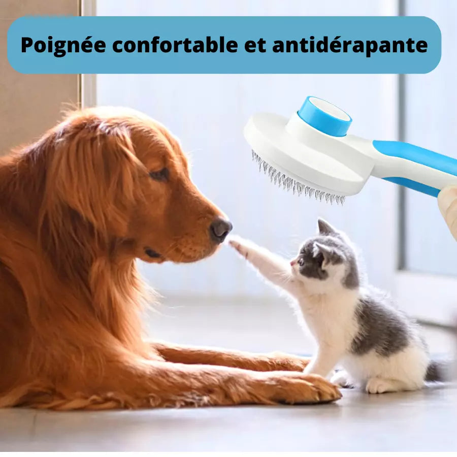 Brosse à poils pour chiens chat toilettage Automatique