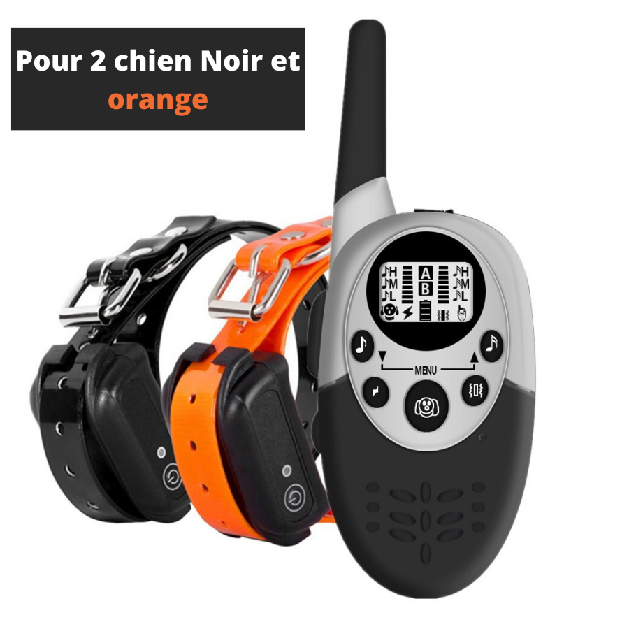 Collier de dressage chien Electrique Rechargeable et Etanche 1000m