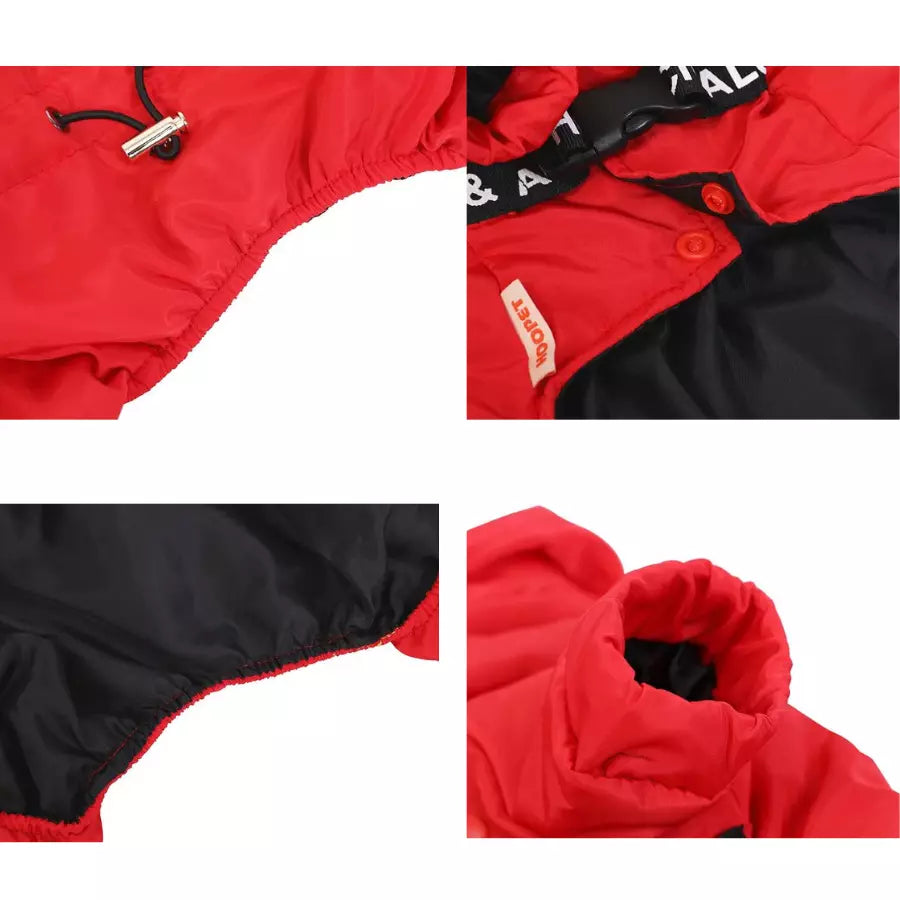 Veste chaude d'hiver pour chien