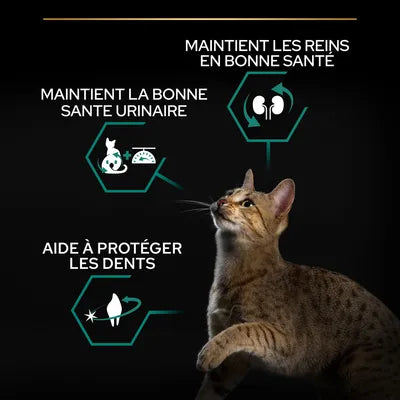 14kg PURINA PRO PLAN Sterilised Adult Renal Plus saumon pour chat (4 variantes)