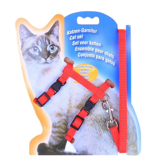 Ensemble harnais + laisse pour pour chat-chien