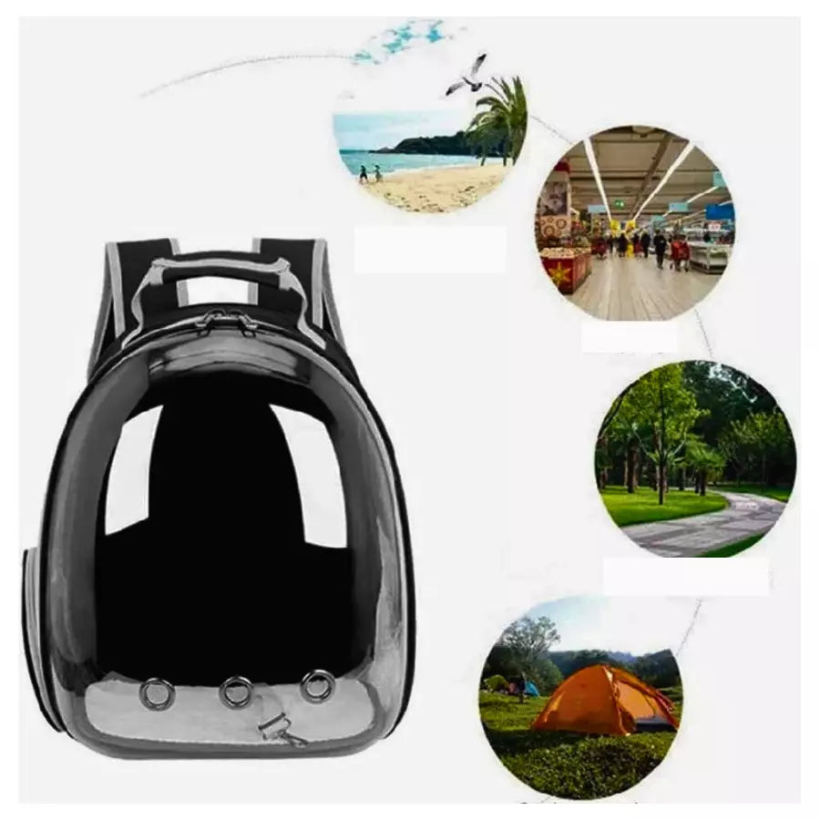 Sac à dos extensible pour chat