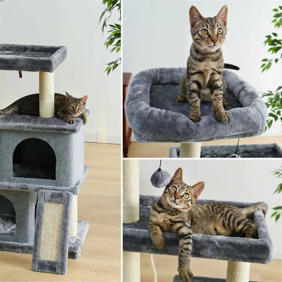 Arbre à chat de luxe d'intérieur avec plusieurs niveaux
