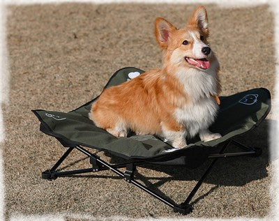 Lit pliable de camping pour toutes les saisons chien-chat