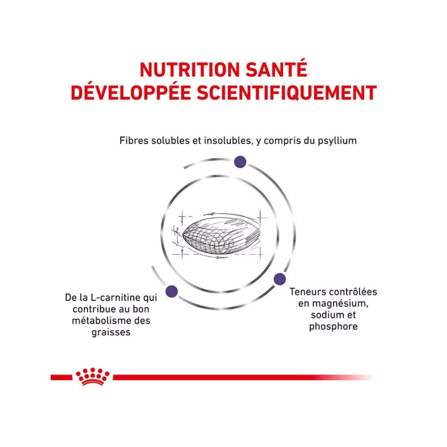 Royal Canin Expert Neutered Satiety Balance pour chat