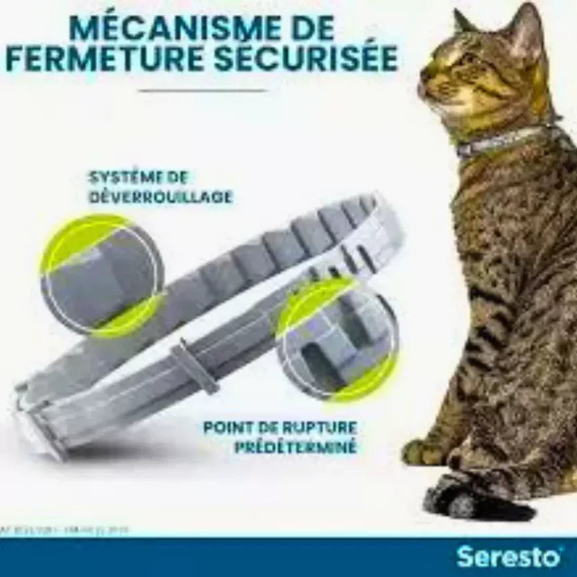 3 PCS Collier Seresto Anti-Puces-Tiques et Antiparasitaire pour chat Lot de 3