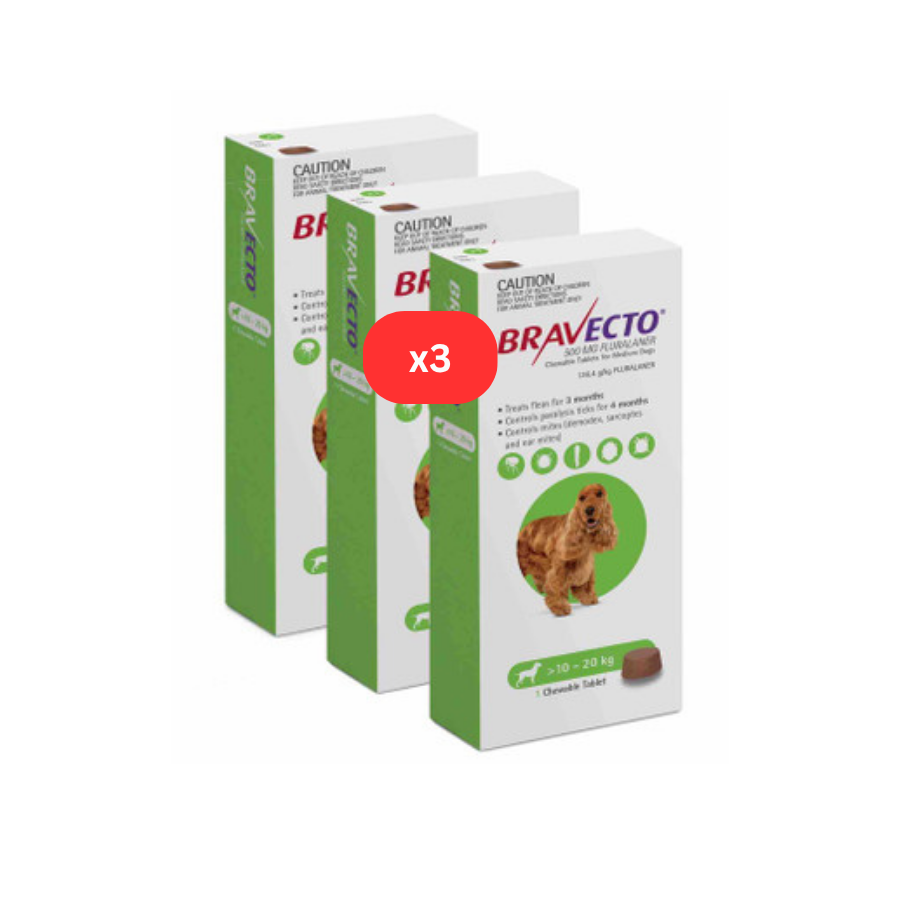 2 Bravecto anti-Puces et Tiques à croquer pour chiens de 10 à 20 kg -Vert 2