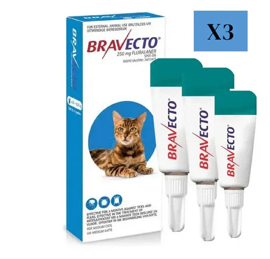 4 Bravecto Solution topique pour chats 2,8-6,25 kg (6,2-13,8 lbs)Bleu 4 Doses