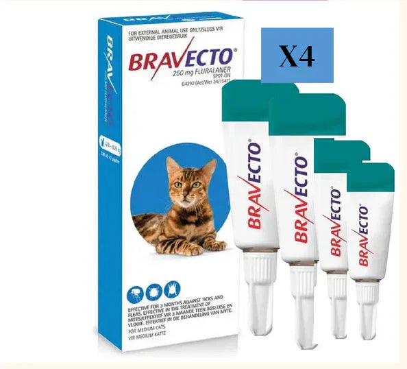 3 Bravecto Solution topique pour chats 2,8-6,25 kg(6,2-13,8 lbs) -Bleu 3 Doses