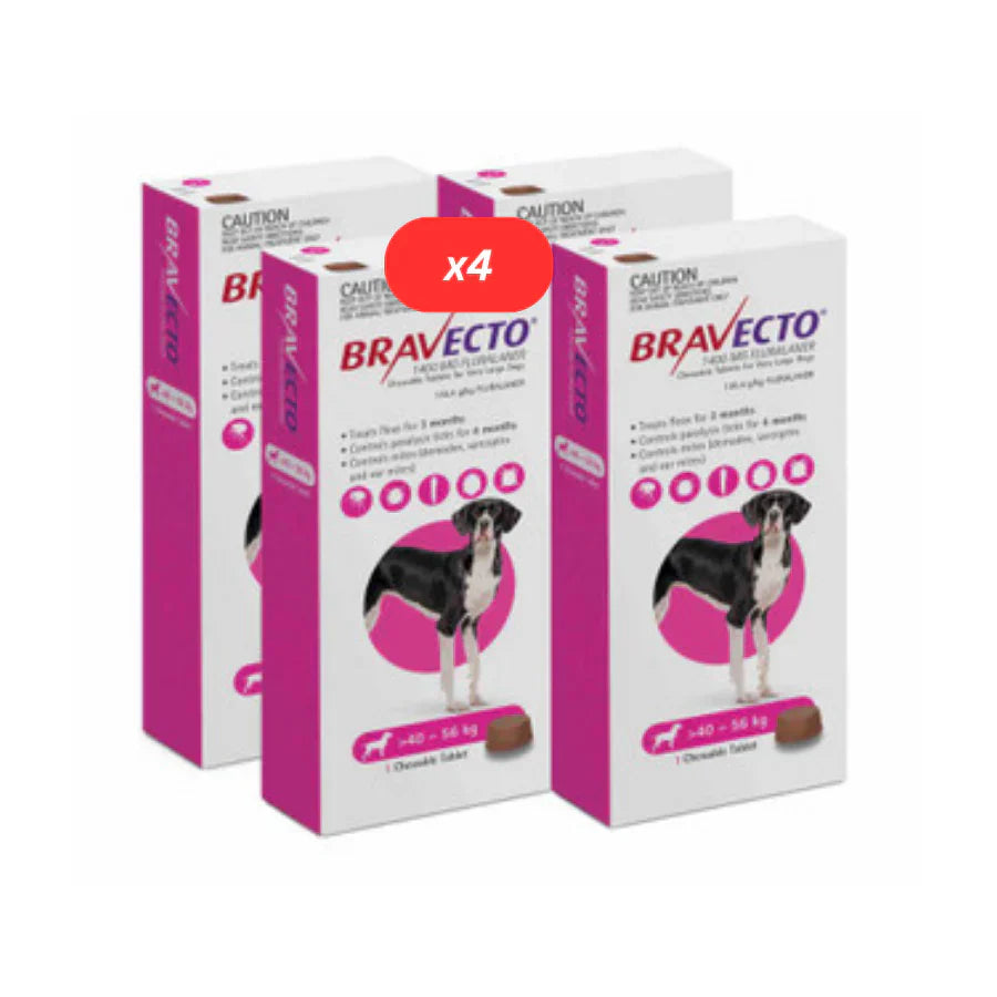 4 Bravecto anti-Puce-tique à mâcher pour chiens 88-123 lbs(40-56 kg)Rose 4
