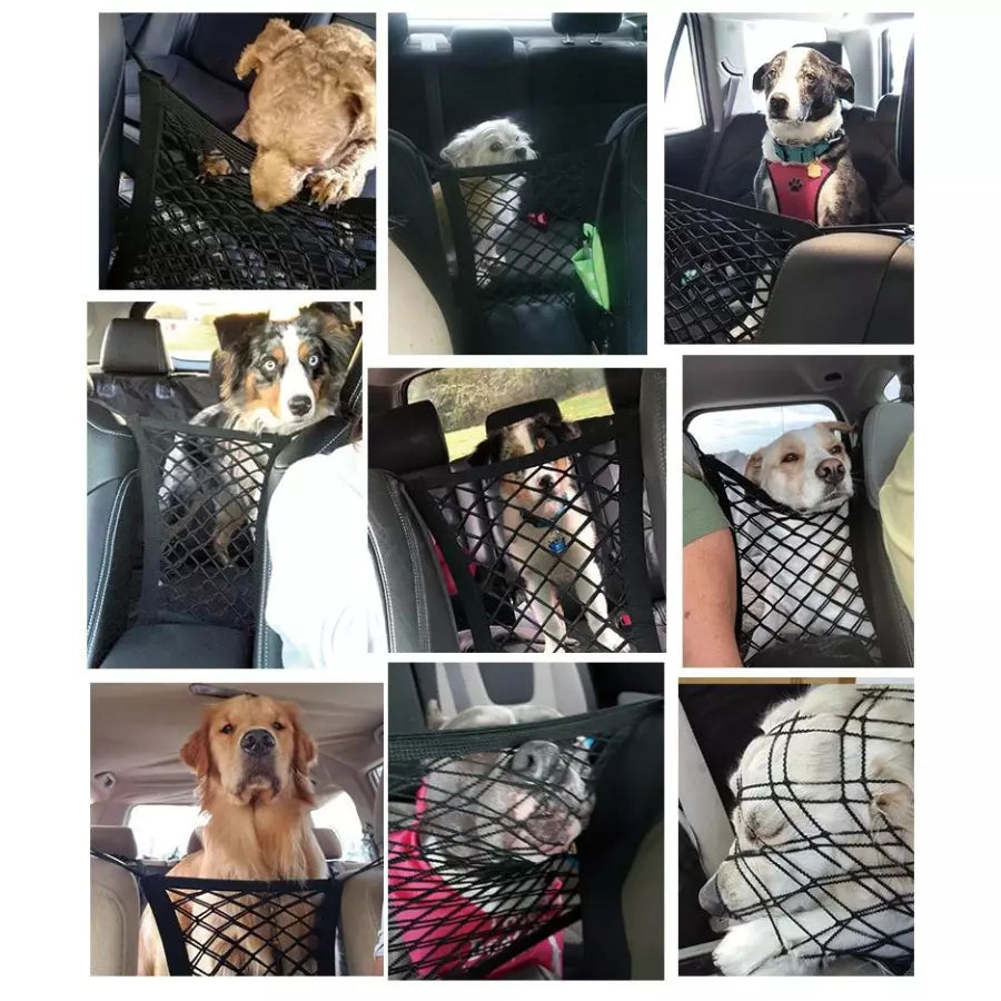 Filet de séparation universel pour chien-chat